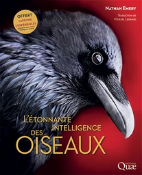 L'étonnante intelligence des oiseaux