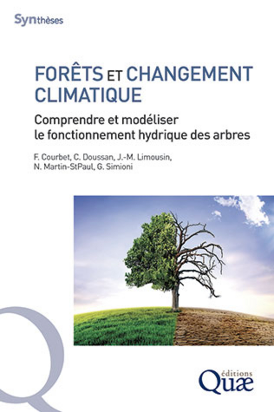 changement climatique