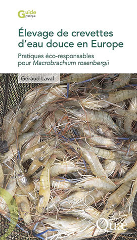 La nourriture des crevettes d'eau douce - Conseils d'élevage des crevettes  d'eau douce en aquarium