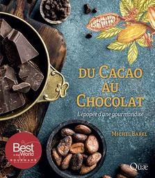 Du cacao au chocolat