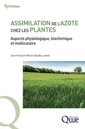 Assimilation de l'azote chez les plantes