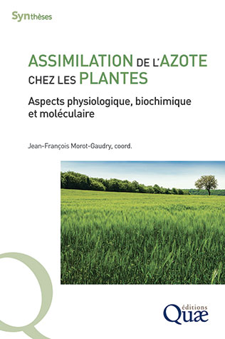 L'azote, une importance majeure pour les plantes