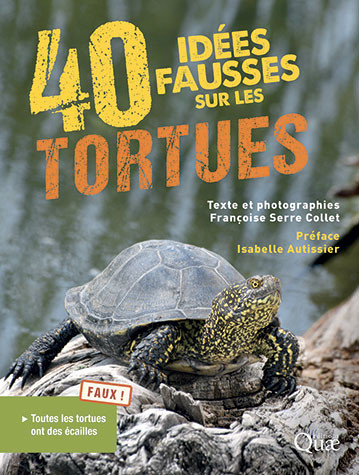 40 idées fausses sur les tortues - - Françoise Serre Collet (EAN13 :  9782759235582)