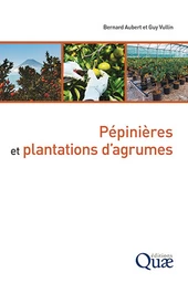 Pépinières et plantations d’agrumes