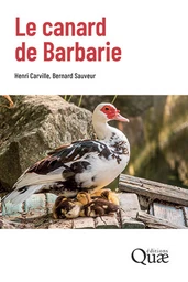 Le canard de Barbarie