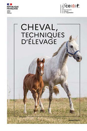 Cheval, techniques d'élevage -  - Institut français du cheval et de l'équitation