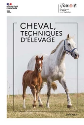 Cheval, techniques d'élevage