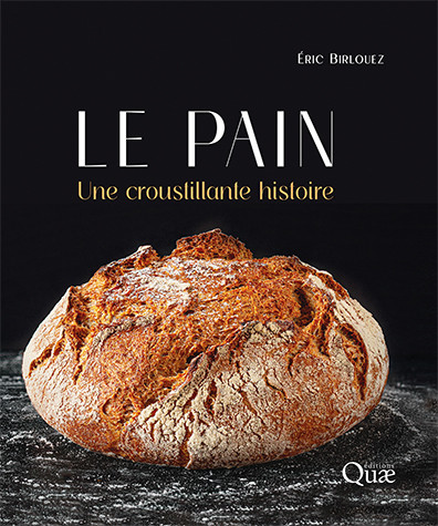 Le pain - Eric Birlouez - Éditions Quae