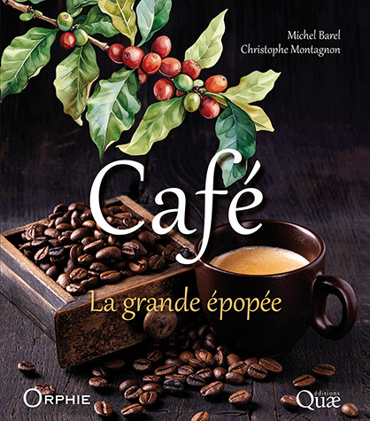 Café - Michel Barel, Christophe Montagnon - Éditions Quae