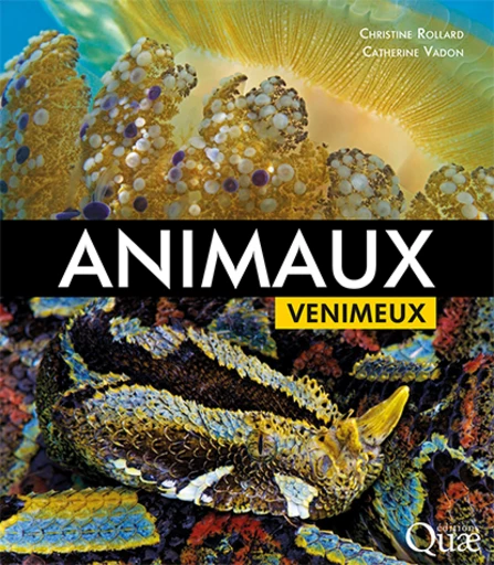 Animaux venimeux - Christine Rollard, Catherine Vadon - Éditions Quae