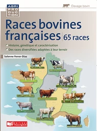 Races bovines françaises